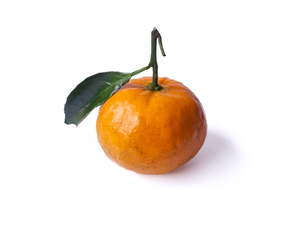 Fresh Orange with Leaf on Plain Background