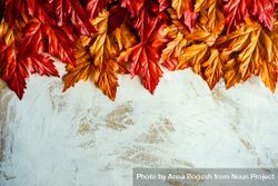 Rustic table with red and orange fall leaves 0KNBDb