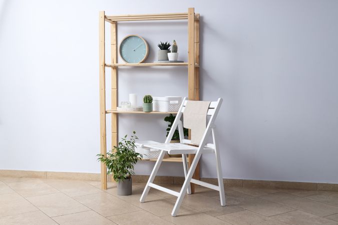 Cozy hobby - growing indoor plants at home