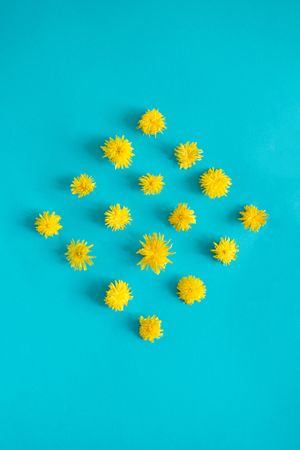 Pattern of yellow spring flowers in diamond shape