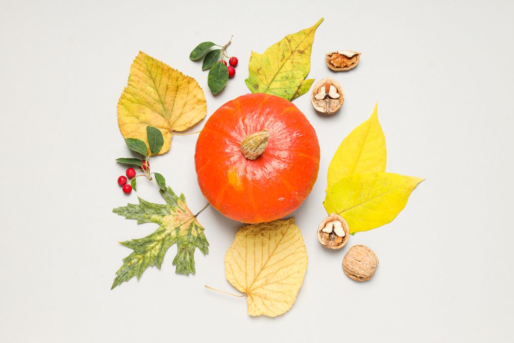 Cooking ingredients for fall season - pumpkin seeds, pumpkin