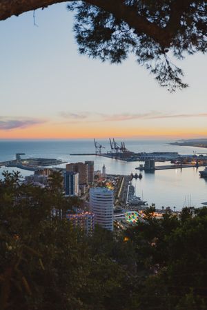 View of city and sea from hill