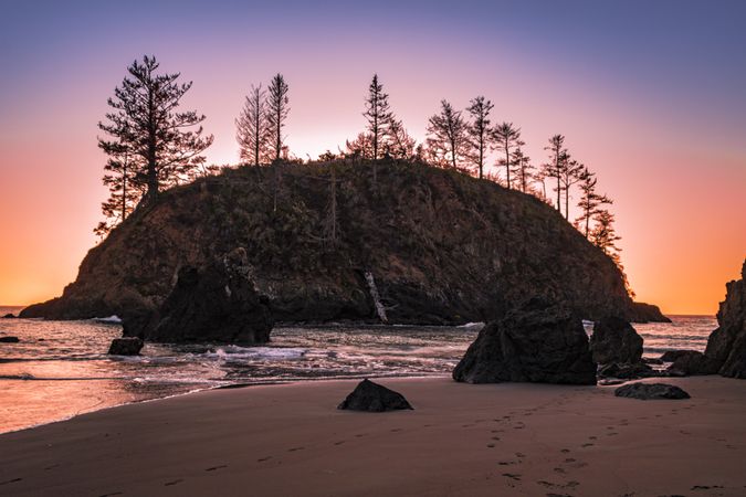 Coastal rock with trees at sunset