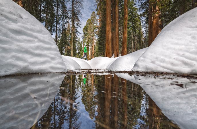 Unrecognizable hiker in snowy forest and lake in Yosemite California