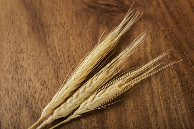 Ears of wheat on wooden background.