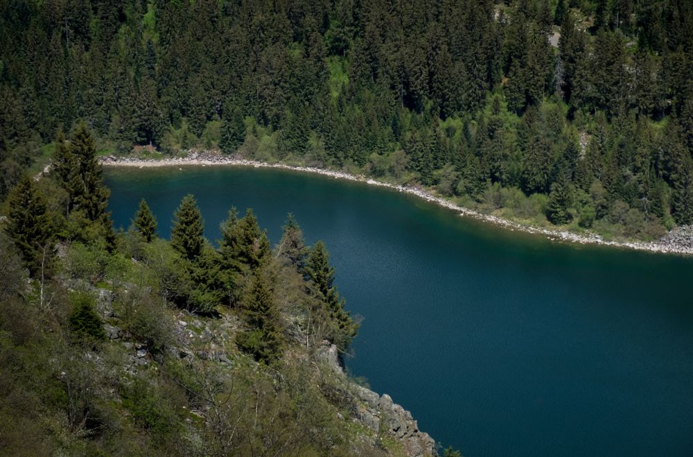 Shot looking down at lake lined with green trees