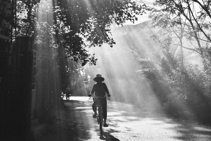 Grayscale person with a hat riding a bicycle under tree during daytime