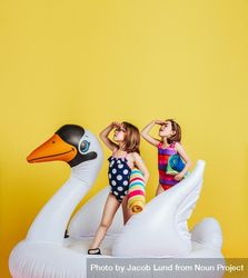 Two girls having fun on inflatable toy flamingo 41apj4