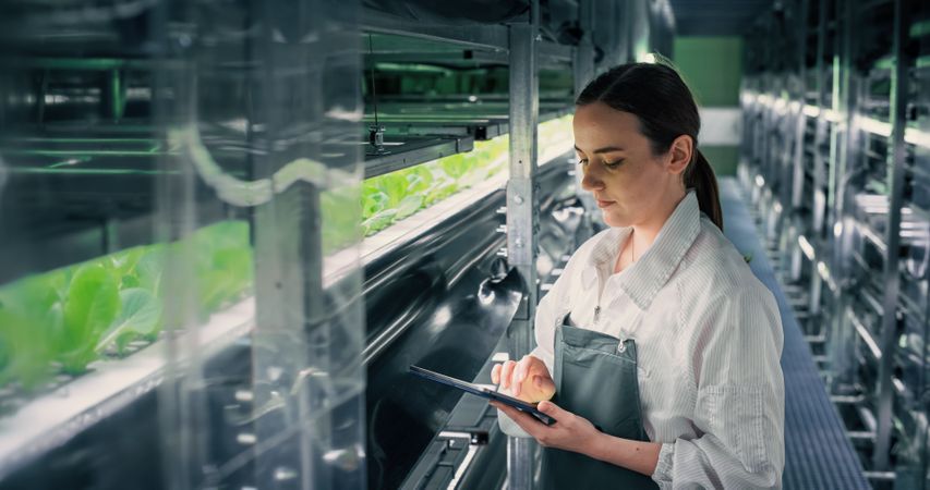 Agricultural Grower Working in a Corridor in a Vertical Farm Facility Next to Rack with Freshly Grown Plants. Female Hydroponics Technician Using a Tablet Computer, Studying and Cultivating Crops