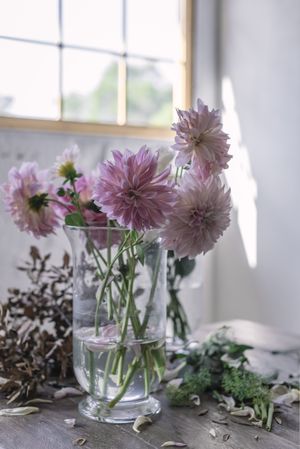 Bunches of flowers in vases on table