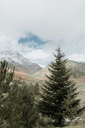 Wonderful valley with trees and high hills in cloudy weather