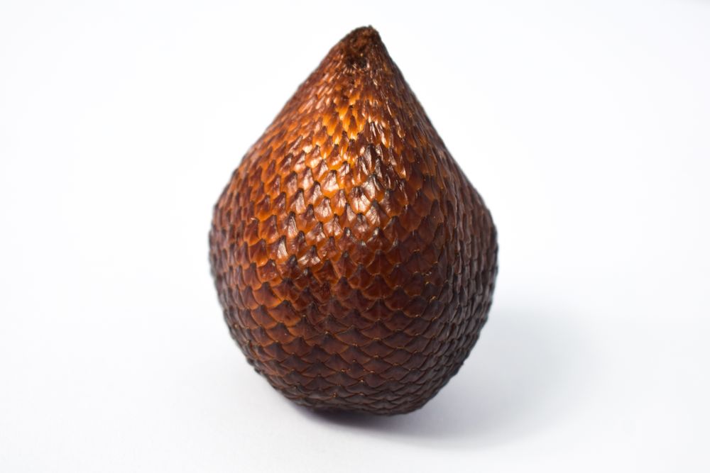Single salak, snake skin fruit