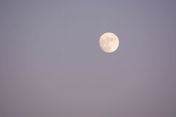 Full Moon Sky