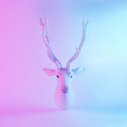 Reindeer head in vivid gradient neon colors