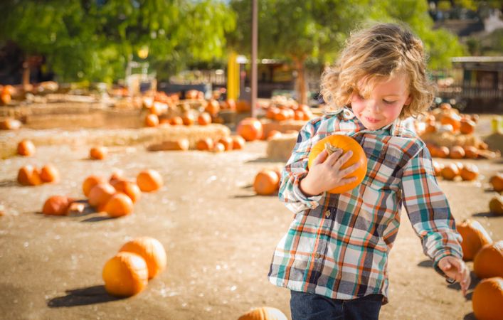 Cute Young Boy Having Fun at the Pumpkin Patch on a Sunny Fall Day..