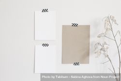 Set of blank paper greeting card mockups taped on wall 432MxO
