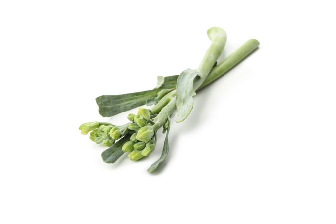 Fresh green broccolini isolated on plain background