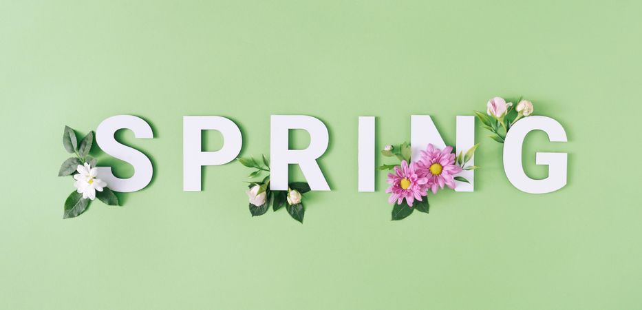 “SPRING” text with pink flowers against pastel green background