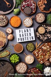 Healthy vegan grains and vegetables with “Plant Based Protein” sign in center 47Kdr4