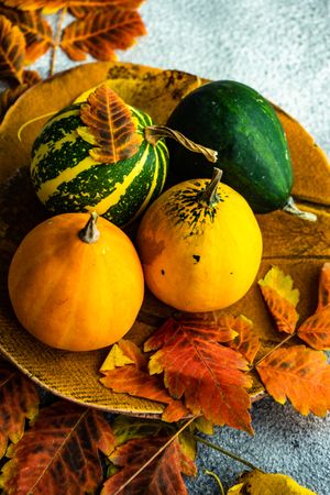 Bowl with fall gourds and leaves