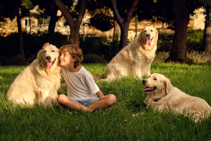 Smiling boy stroking dogs in park