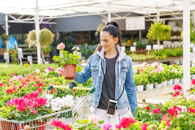 Hispanic woman putting potted plant into cart
