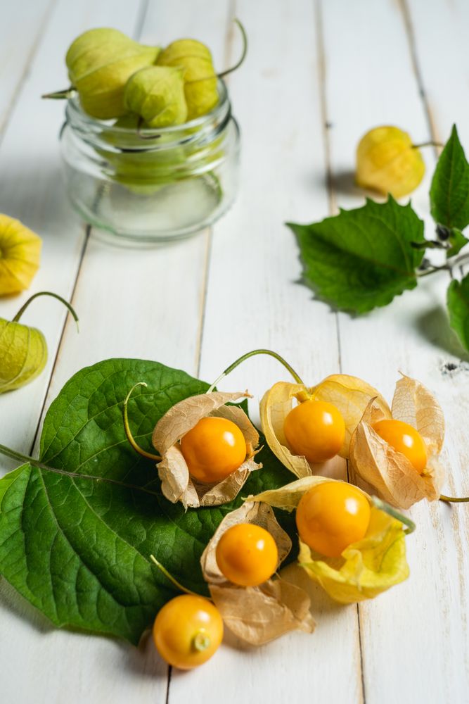 Physalis fruit (Physalis peruviana) also called uchuva,  gold berries, native of Peru, on a wooden board with leaves.