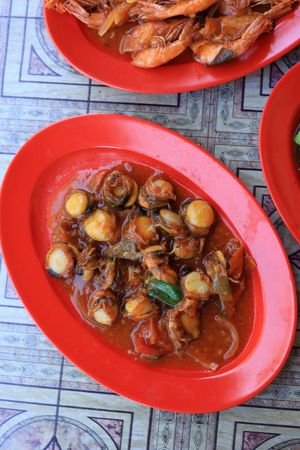 Tumis Kerang Saus Padang, Stir Fry Clams with Spicy Red Indonesian  Sauce on Red Plate
