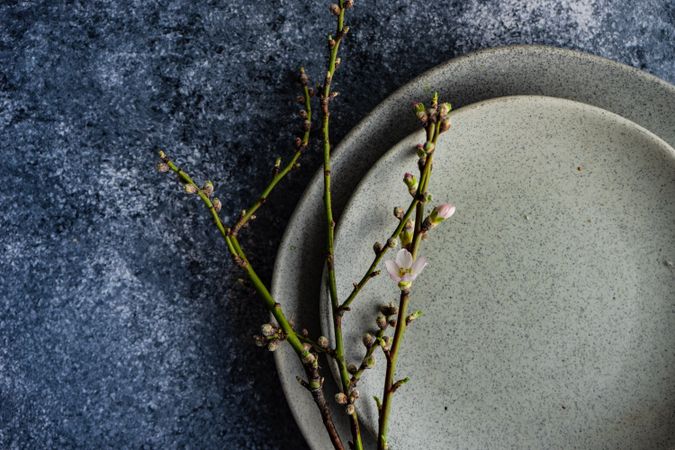 Branch on ceramic grey plate