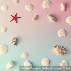 Seashell pattern with red star fish on gradient pastel pink and blue background 4mj8Nb