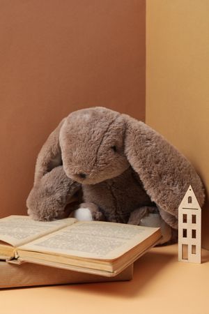 Concept of baby book, space for text