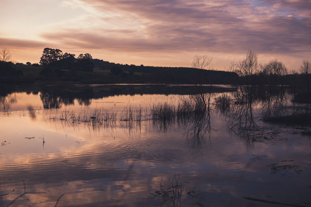 Cloudy evening sky over calm lake