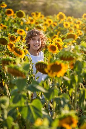 Cheerful child with toothy smile in sunflower field looking at camera