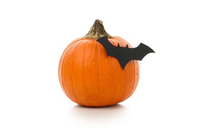 Pumpkin with paper bat isolated on blank background