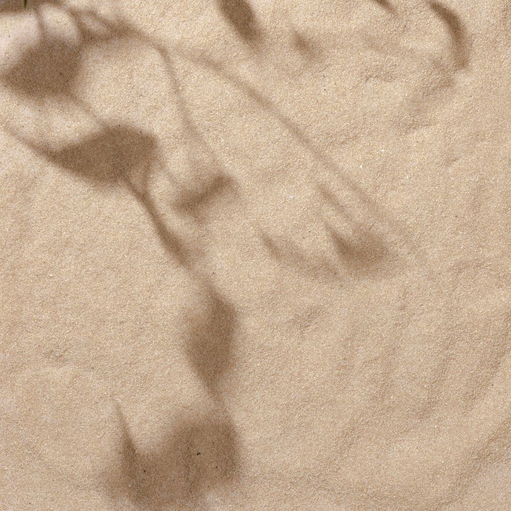Sand with palm leaf shadows