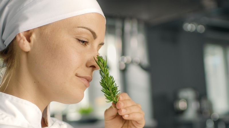 Young Female Chef Smells Decorative Spice Plant.