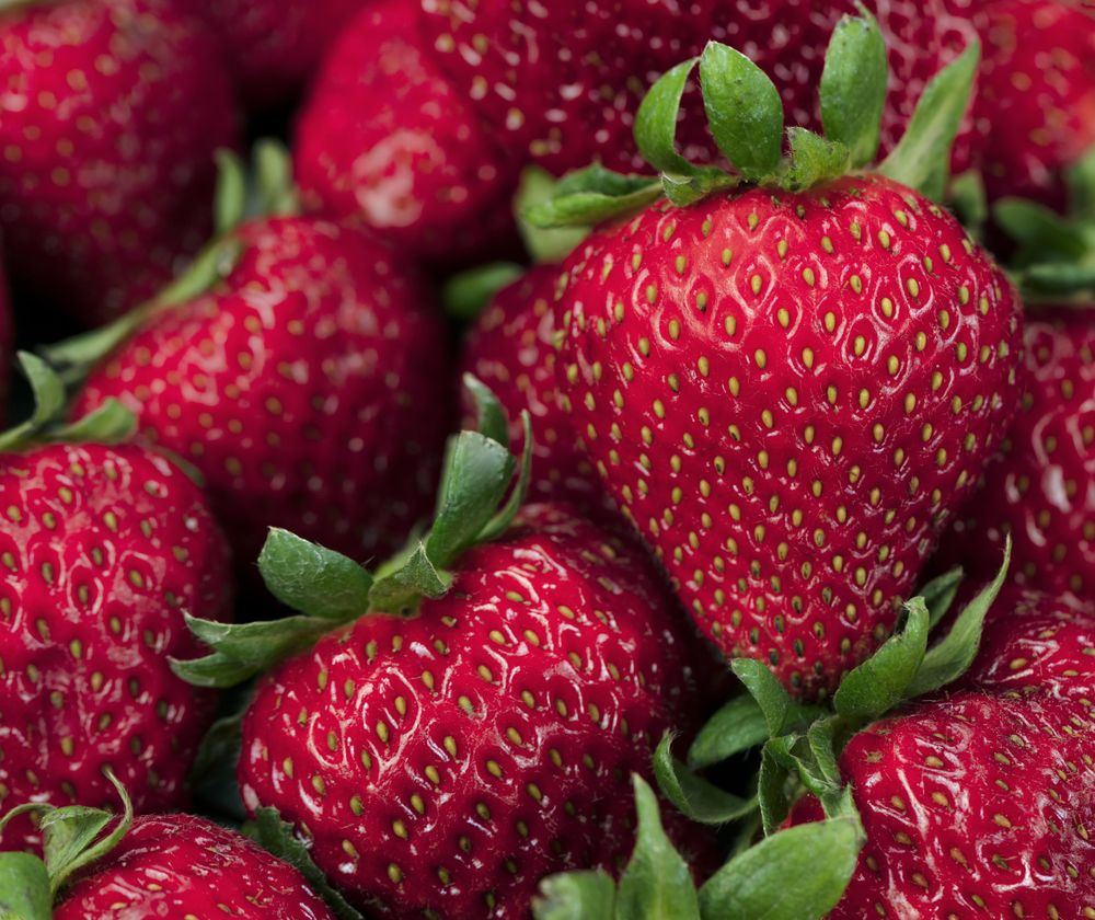Strawberry fruit in filled frame view