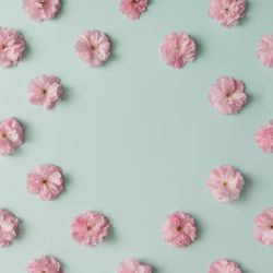 Pink flower pattern on blue pastel background