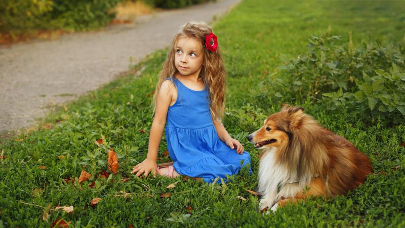 Happy child in blue dress sitting with dog in the grass