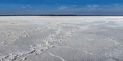 Sandy Rybakovka shore in Ukraine