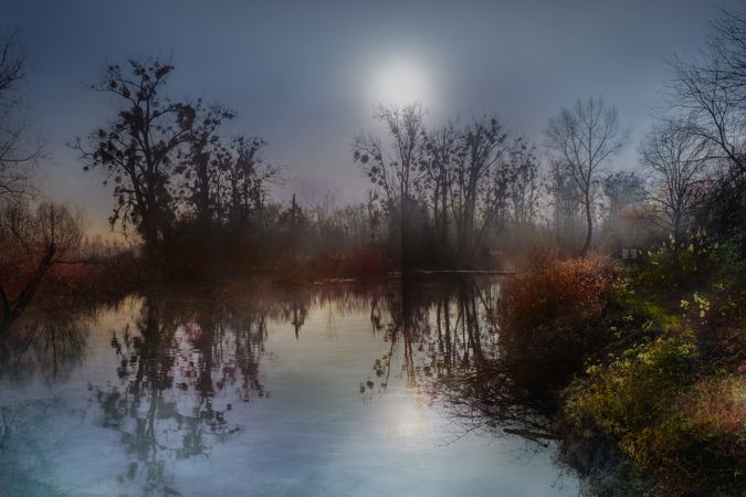 Sun surrounded by fog above a marsh