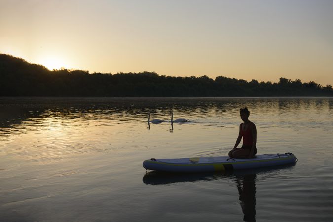 Woman watching swan pass by her on paddle board at dusk