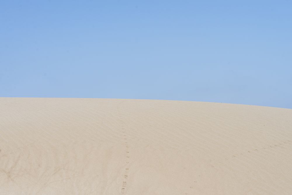 Beautiful sand dunes at dusk against blue sky