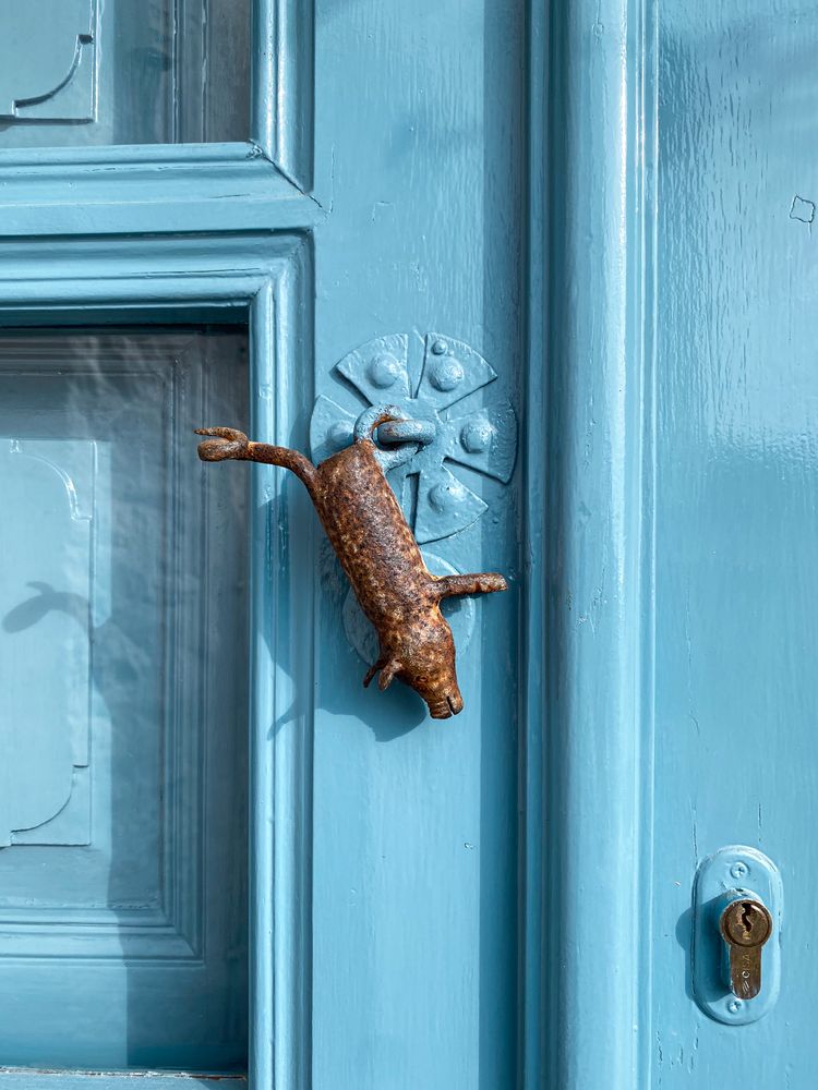 Patmian knocker close up of piglet