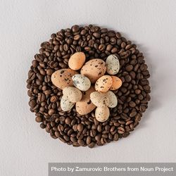 Nest of coffee beans with eggs 0JWpK5