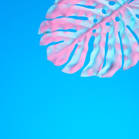 Tropical leaf in vibrant bold gradient holographic neon  colors