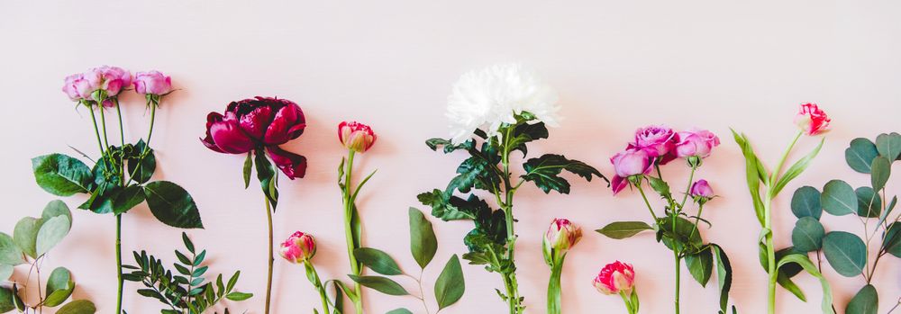 Various sorted single summer flowers flat-lay, wide composition