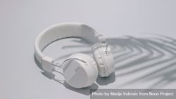 Trendy headphones with palm tree shadow 5n91l0