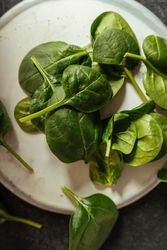 Fresh spinach on a rustic concrete crockery