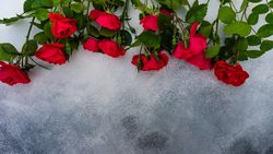 Red roses in row along top of marble counter with copy space